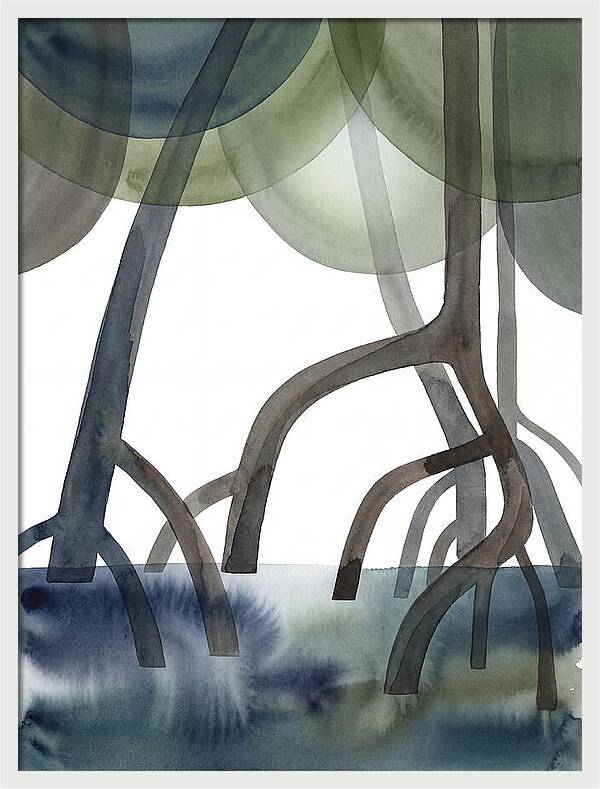 Serene Reflections In The Mangroves
