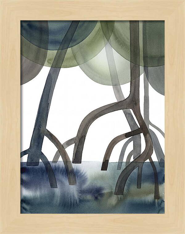 Serene Reflections In The Mangroves