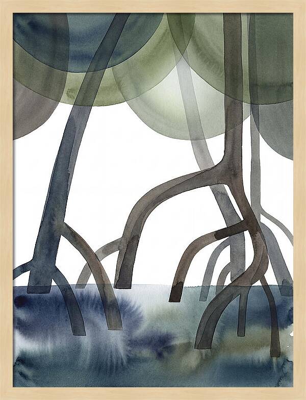 Serene Reflections In The Mangroves