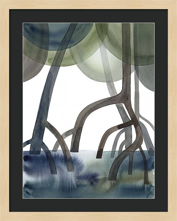 Serene Reflections In The Mangroves