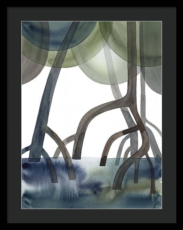 Serene Reflections In The Mangroves