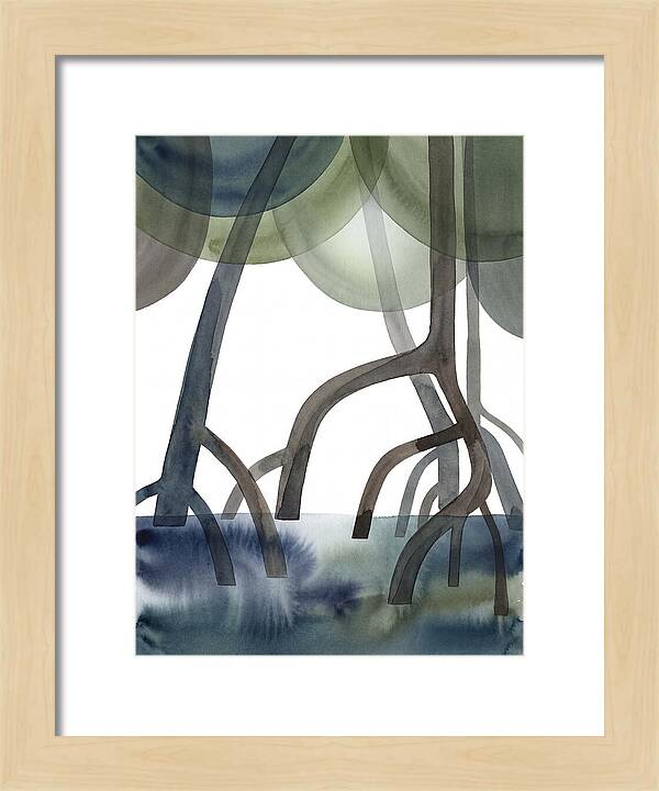 Serene Reflections In The Mangroves