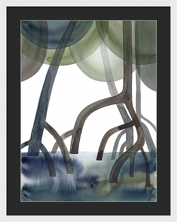 Serene Reflections In The Mangroves