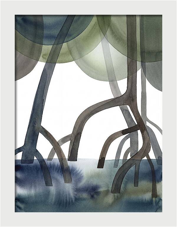 Serene Reflections In The Mangroves