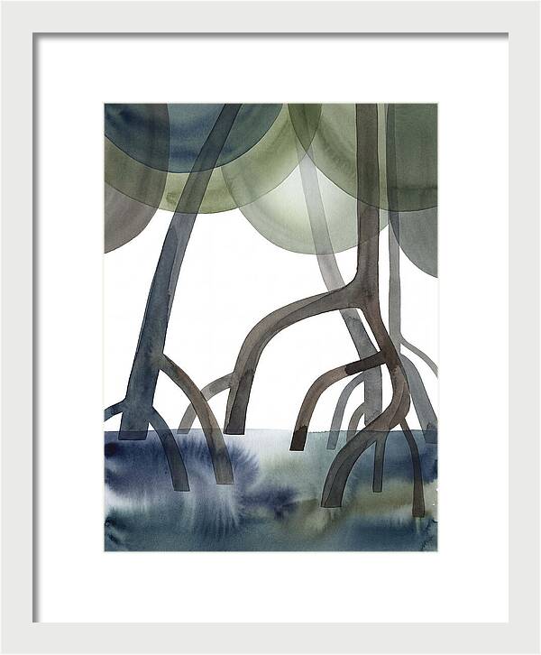 Serene Reflections In The Mangroves