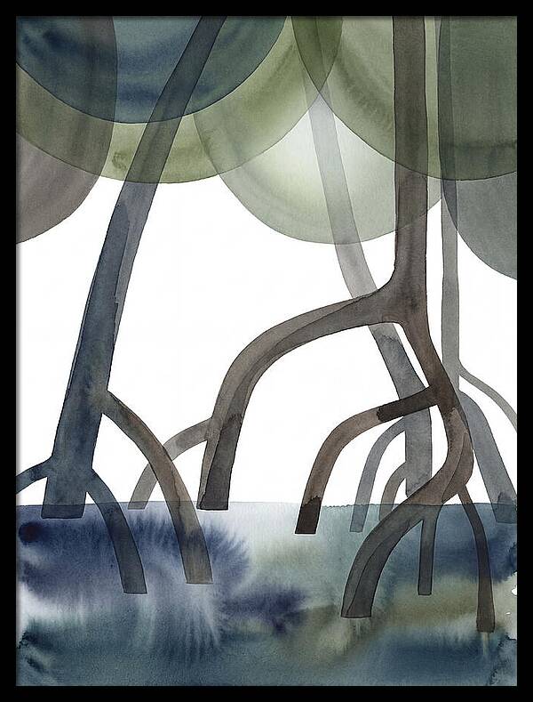Serene Reflections In The Mangroves