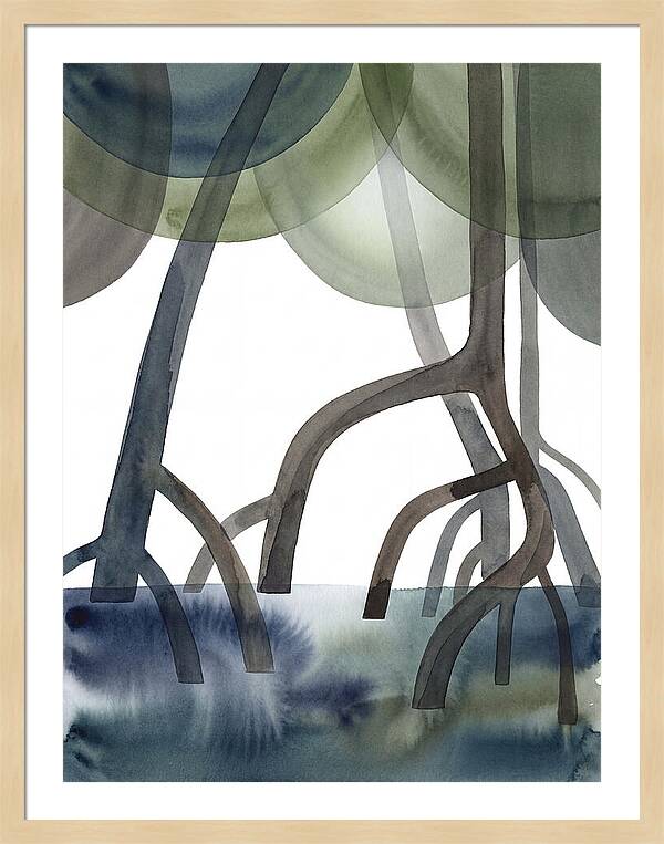 Serene Reflections In The Mangroves