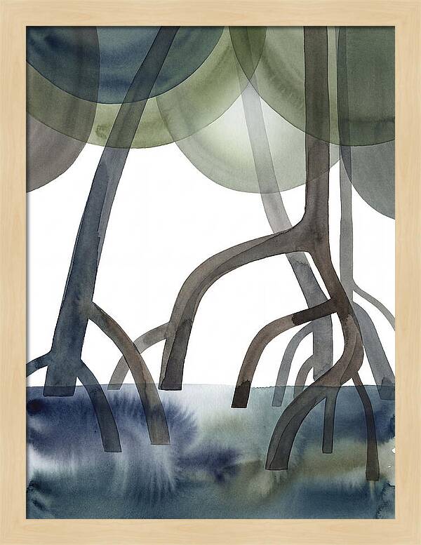 Serene Reflections In The Mangroves