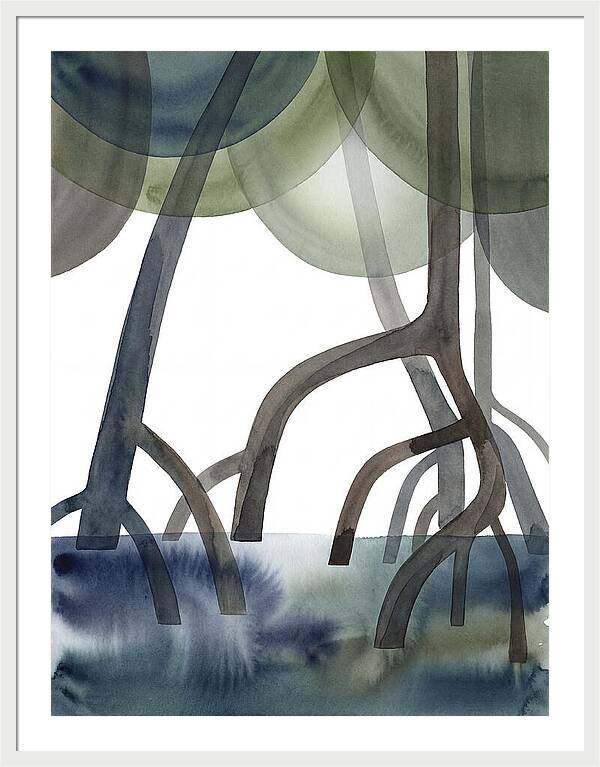 Serene Reflections In The Mangroves