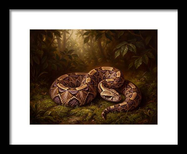Serene Snake In Nature
