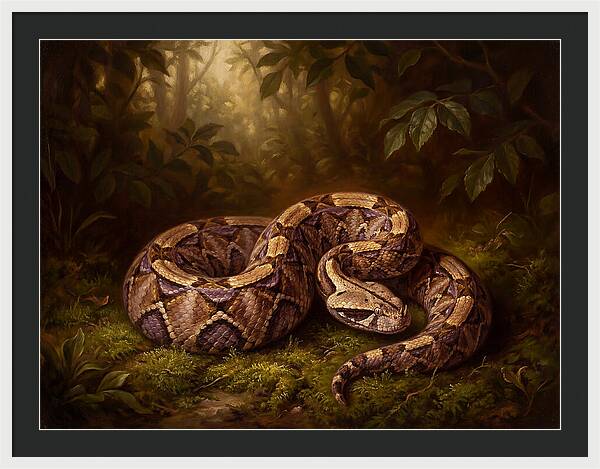 Serene Snake In Nature