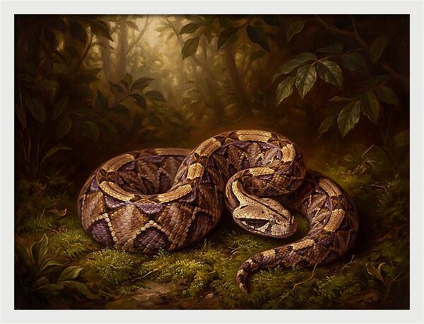 Serene Snake In Nature