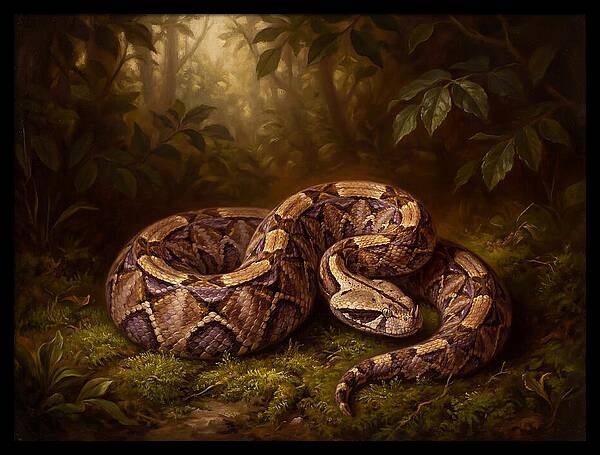 Serene Snake In Nature