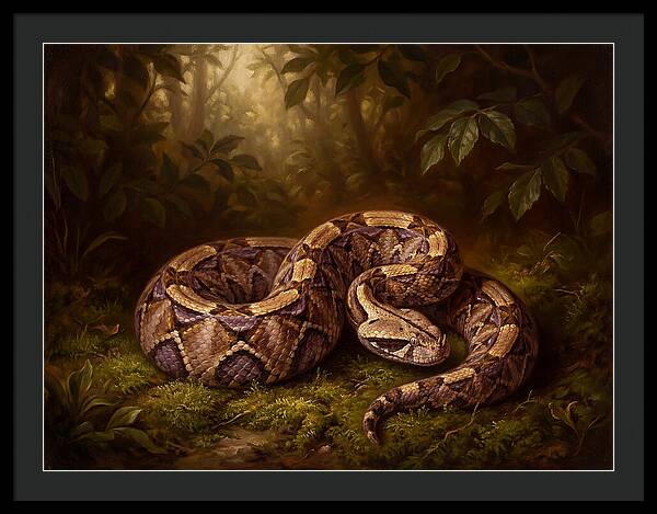 Serene Snake In Nature