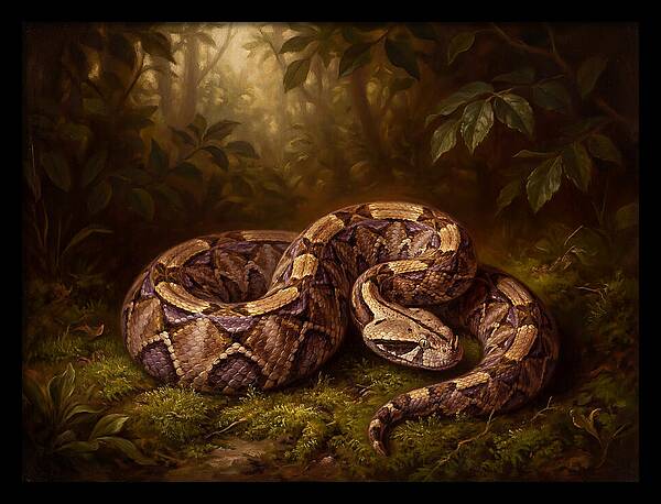 Serene Snake In Nature