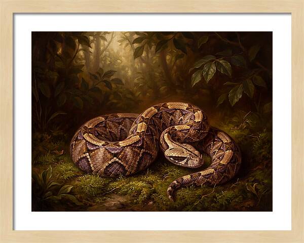 Serene Snake In Nature