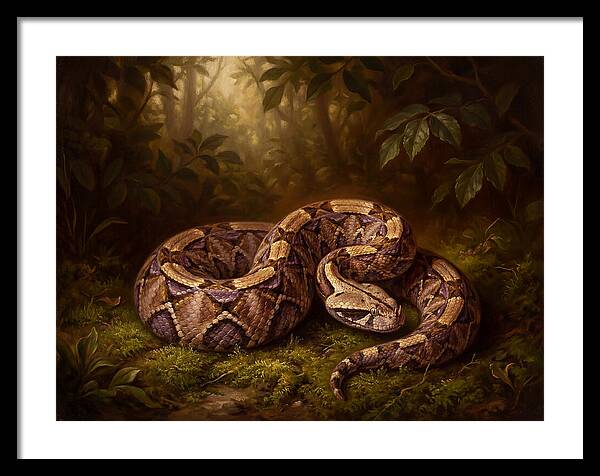 Serene Snake In Nature