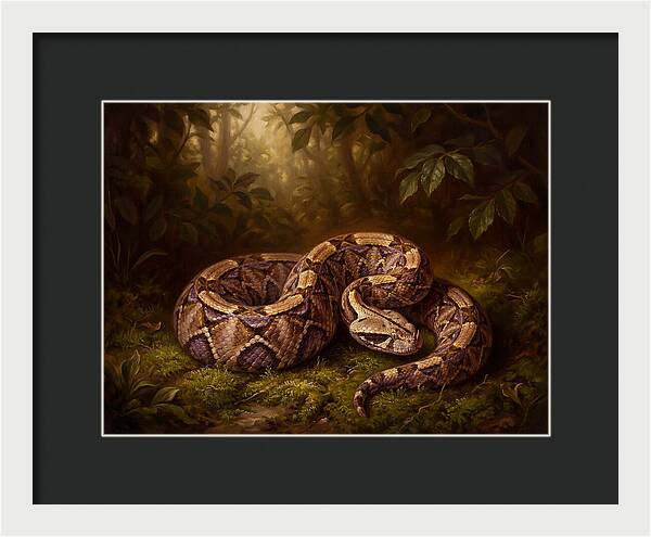 Serene Snake In Nature