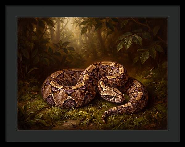 Serene Snake In Nature