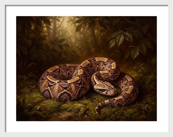 Serene Snake In Nature
