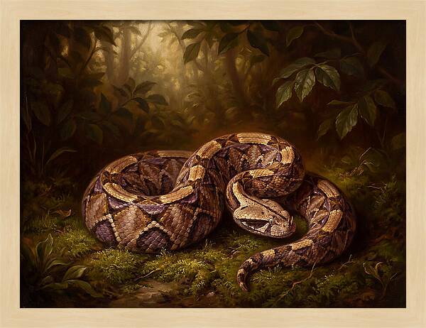 Serene Snake In Nature