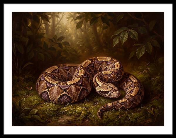 Serene Snake In Nature