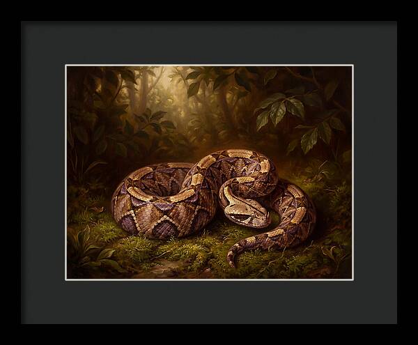 Serene Snake In Nature