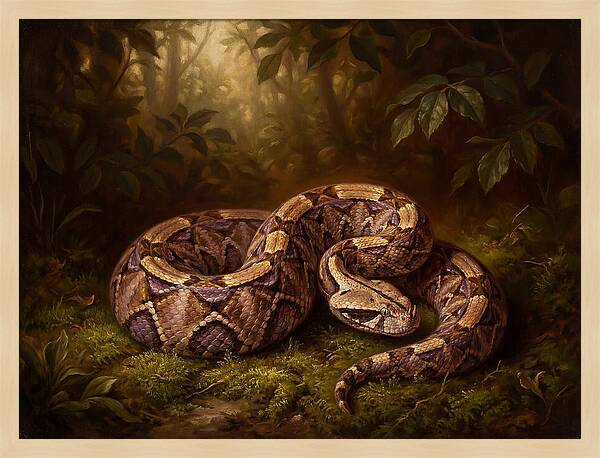 Serene Snake In Nature