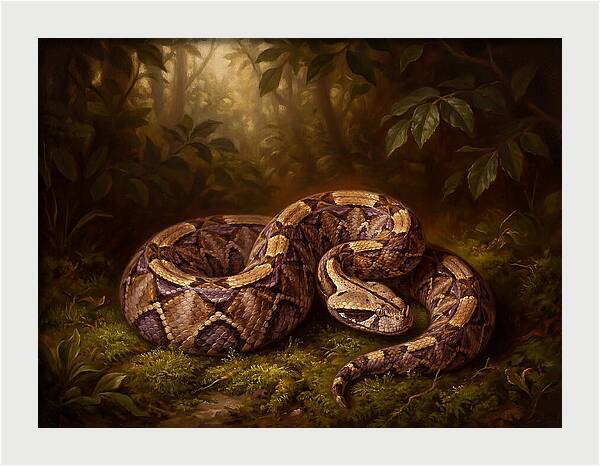 Serene Snake In Nature