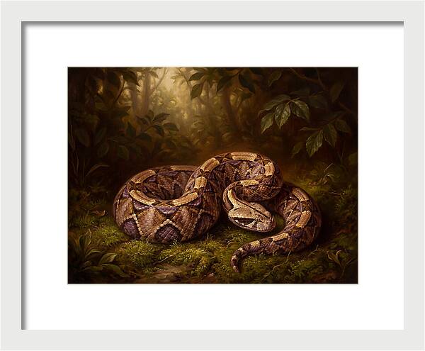 Serene Snake In Nature