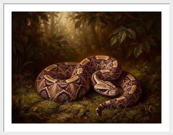 Serene Snake In Nature
