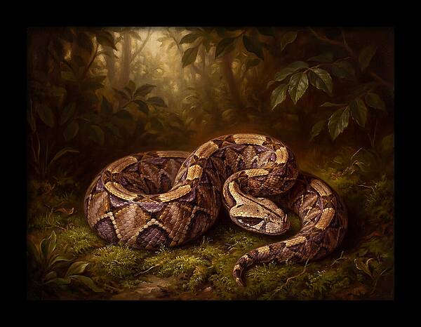 Serene Snake In Nature
