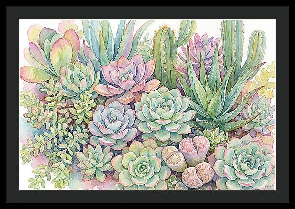Serene Succulent Sanctuary