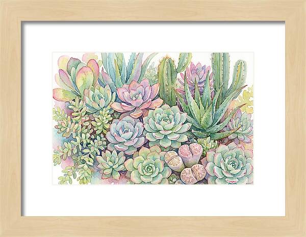 Serene Succulent Sanctuary