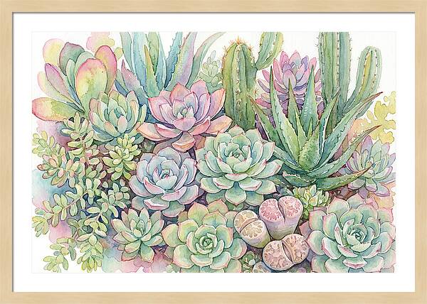 Serene Succulent Sanctuary