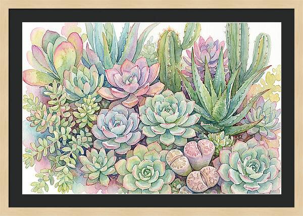 Serene Succulent Sanctuary