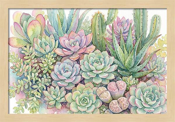 Serene Succulent Sanctuary