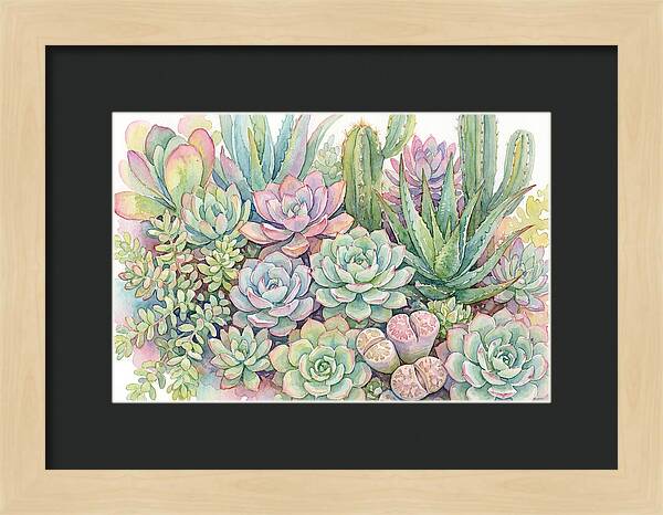 Serene Succulent Sanctuary