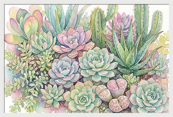 Serene Succulent Sanctuary