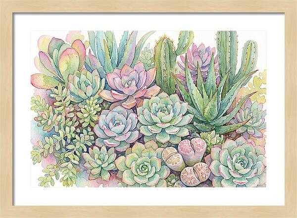 Serene Succulent Sanctuary