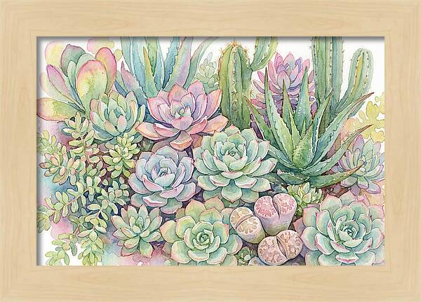 Serene Succulent Sanctuary
