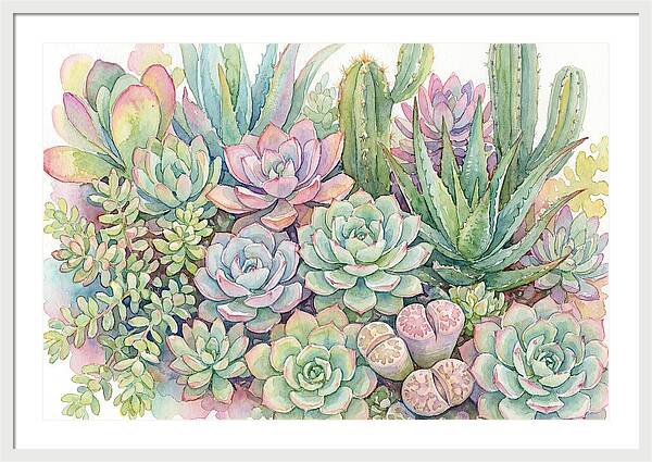 Serene Succulent Sanctuary