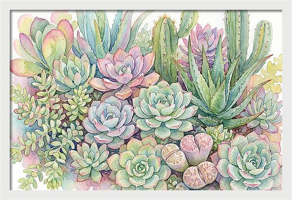 Serene Succulent Sanctuary