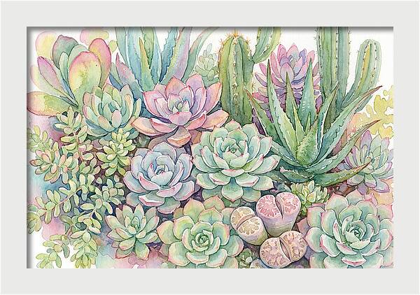Serene Succulent Sanctuary
