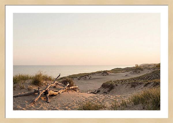 Serene Sunrise Over Indiana Dunes