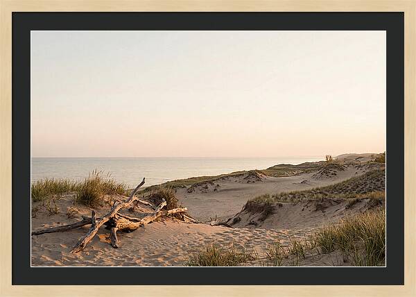 Serene Sunrise Over Indiana Dunes
