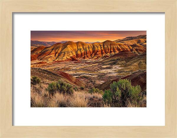 Serene Sunset Over Rolling Hills