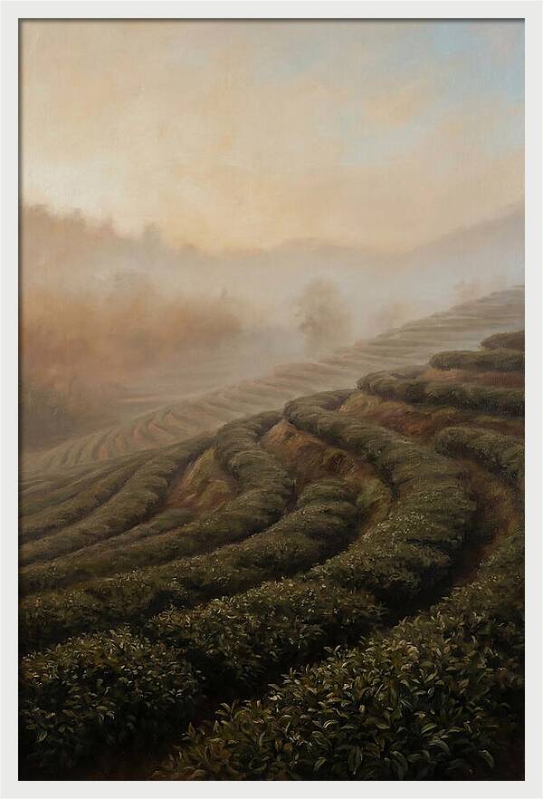 Serene Tea Garden