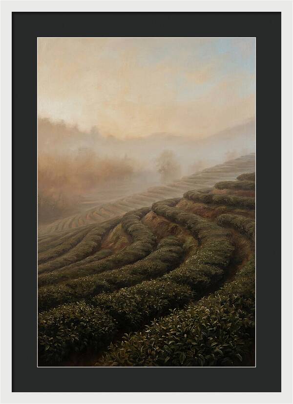 Serene Tea Garden