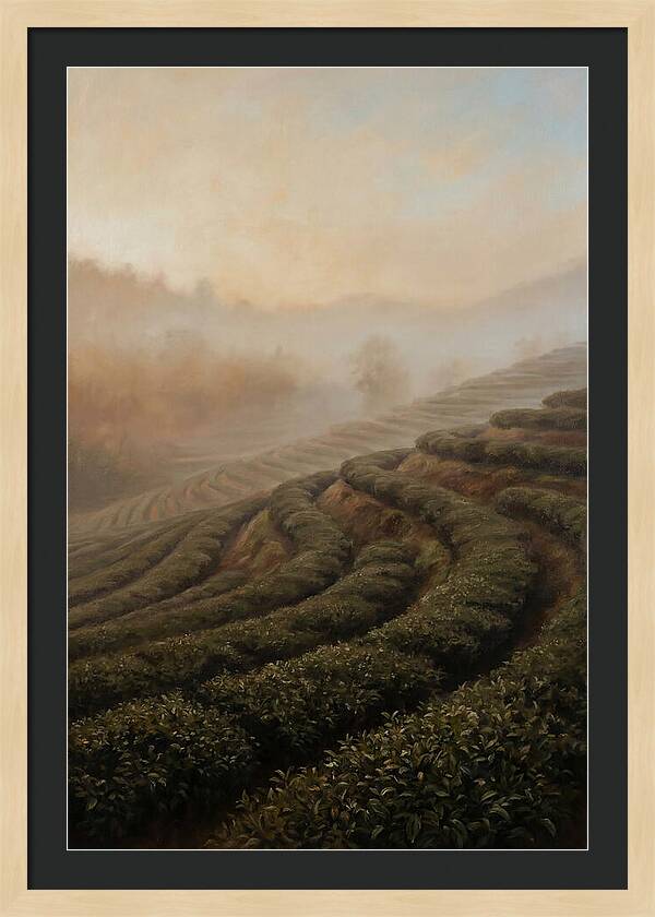 Serene Tea Garden